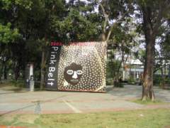 �������Y