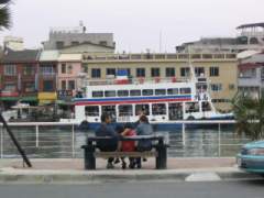 �X�z�����